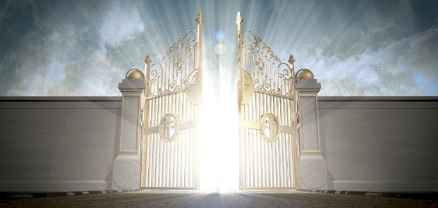 ما هي سدرة المنتهى وأين تقع صورة مقال ما هي سدرة المنتهى وأين تقع