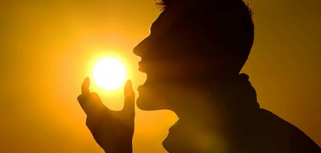 معدل فيتامين د في جسم الإنسان صورة مقال معدل فيتامين د في جسم الإنسان