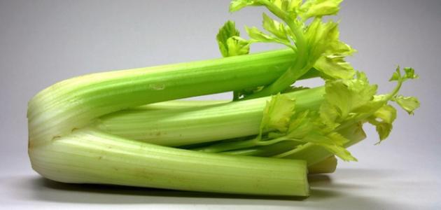 فوائد الحلفا بر للكلى صورة مقال فوائد الحلفا بر للكلى