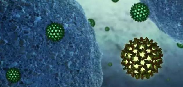 طرق الوقاية من فيروس الكبد A صورة مقال طرق الوقاية من فيروس الكبد A