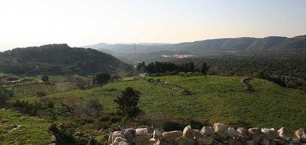 ما هي عكا صورة مقال ما هي عكا