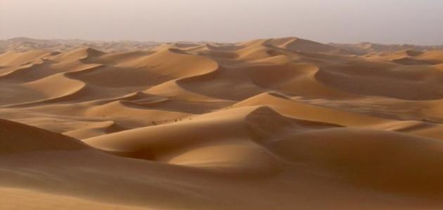 طرق تثبيت الكثبان الرملية صورة مقال طرق تثبيت الكثبان الرملية