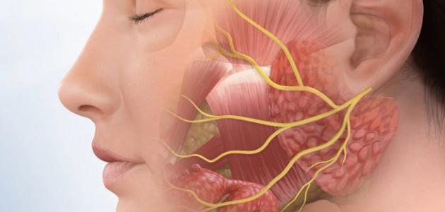 تشخيص وعلاج ألم العصب الخامس - فيديو صورة مقال تشخيص وعلاج ألم العصب الخامس - فيديو