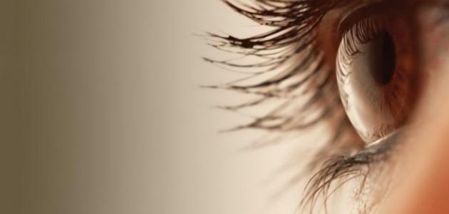 اعتلال الشبكية المرتبط بتقدم العمر صورة مقال اعتلال الشبكية المرتبط بتقدم العمر