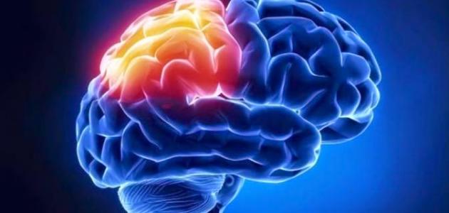 الأورام السحائية الدماغية - فيديو صورة مقال الأورام السحائية الدماغية - فيديو