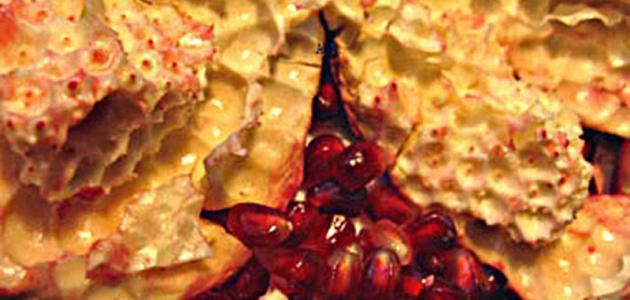 ماذا يفيد قشر الرمان صورة مقال ماذا يفيد قشر الرمان