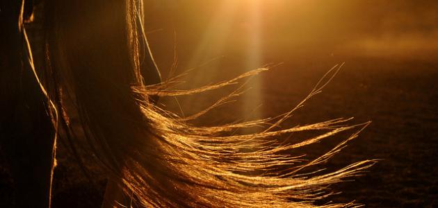 تفسير الشعر في الحلم صورة مقال تفسير الشعر في الحلم