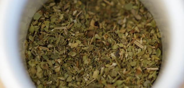 طريقة تجفيف الزعتر صورة مقال طريقة تجفيف الزعتر