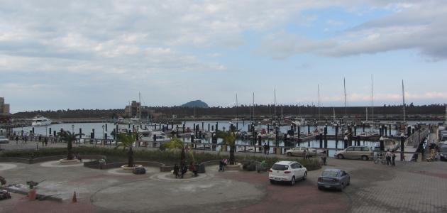 معلومات عن محافظة بيشة صورة مقال معلومات عن محافظة بيشة