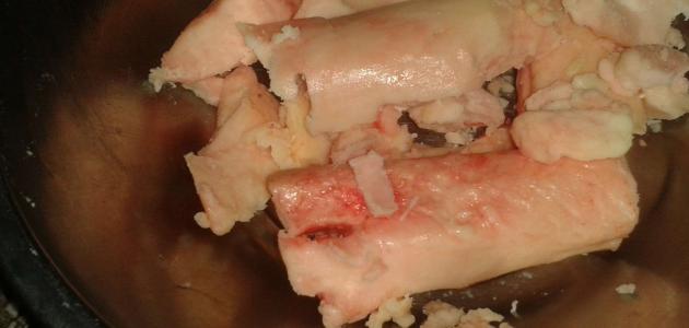 فوائد أكل نخاع العظام صورة مقال فوائد أكل نخاع العظام