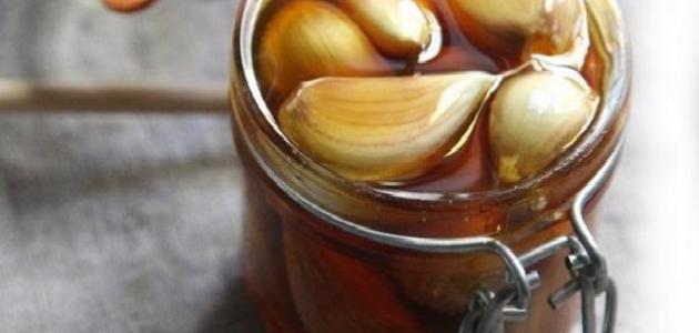 فوائد الثوم مع خل التفاح صورة مقال فوائد الثوم مع خل التفاح