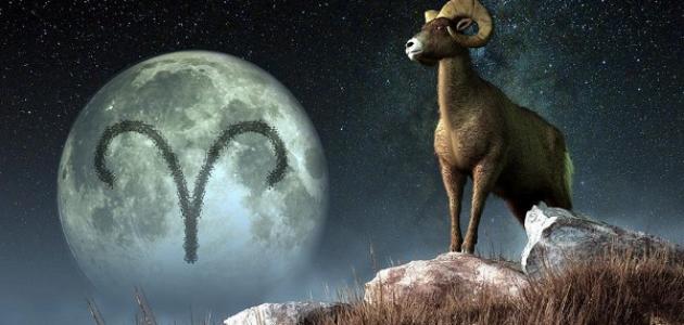 ما هى مواصفات برج الجدى صورة مقال ما هى مواصفات برج الجدى