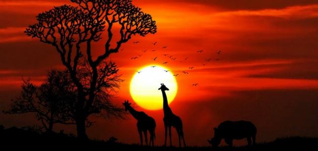 عالم الحيوان والنبات صورة مقال عالم الحيوان والنبات