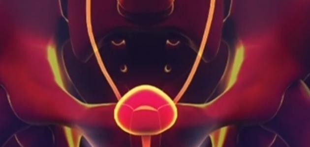 أسباب التبول اللارادي الليلي عند الكبار - فيديو صورة مقال أسباب التبول اللارادي الليلي عند الكبار - فيديو