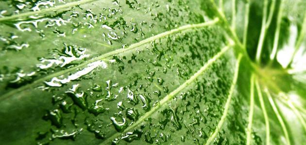 كيف تتكون الرطوبة صورة مقال كيف تتكون الرطوبة