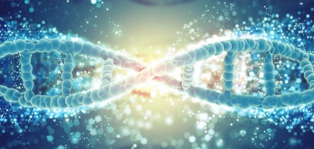 مم يتكون الكروموسوم صورة مقال مم يتكون الكروموسوم