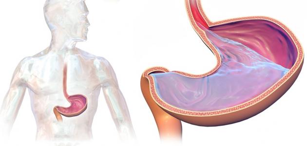كيف يتم تشخيص الإرتجاع المريئي - فيديو صورة مقال كيف يتم تشخيص الإرتجاع المريئي - فيديو