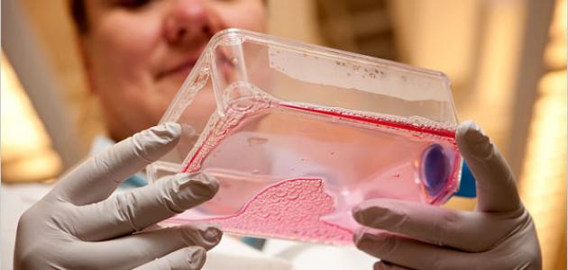 ظهور حبوب حمراء على الرقبة صورة مقال ظهور حبوب حمراء على الرقبة