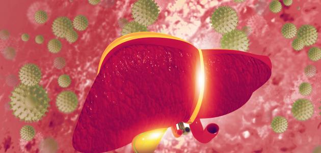 ما هو مرض الوباء الكبدي صورة مقال ما هو مرض الوباء الكبدي
