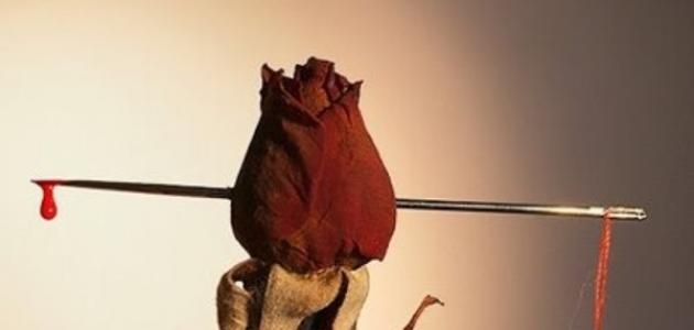 شعر غدر الزمان صورة مقال شعر غدر الزمان