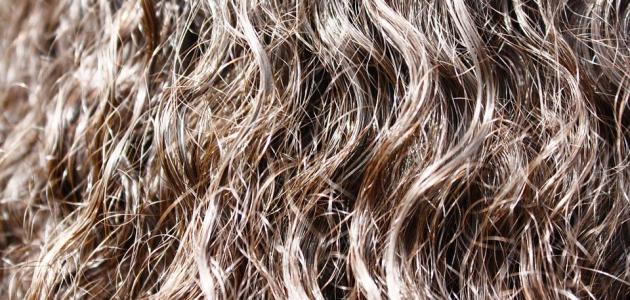 ما هي أضرار تمليس الشعر صورة مقال ما هي أضرار تمليس الشعر