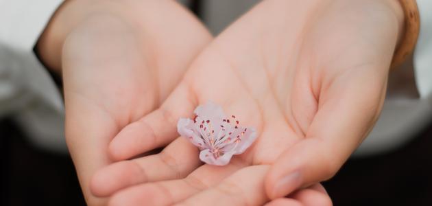 ما هي آداب صدقة التطوع صورة مقال ما هي آداب صدقة التطوع