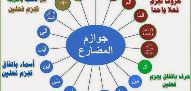 ما هي أدوات الجزم صورة مقال ما هي أدوات الجزم
