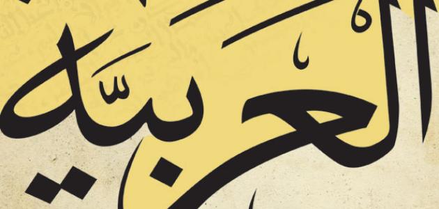 ما هي ادوات النصب صورة مقال ما هي ادوات النصب