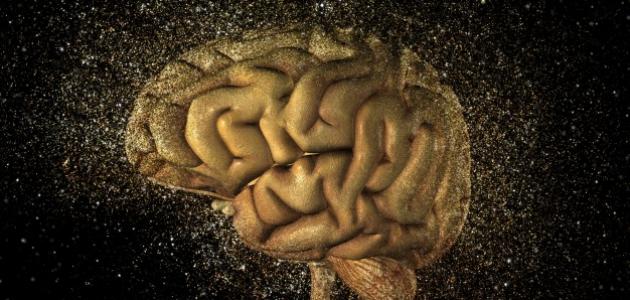 الذاكرة والنسيان في علم النفس صورة مقال الذاكرة والنسيان في علم النفس