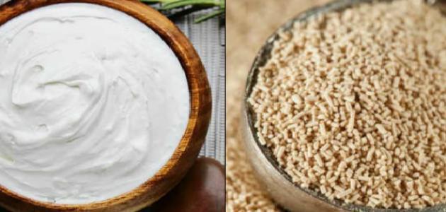 ما هي فوائد الخميرة واللبن للبشرة صورة مقال ما هي فوائد الخميرة واللبن للبشرة