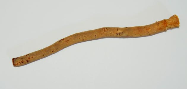 ما هي فوائد السواك في السنة النبوية صورة مقال ما هي فوائد السواك في السنة النبوية