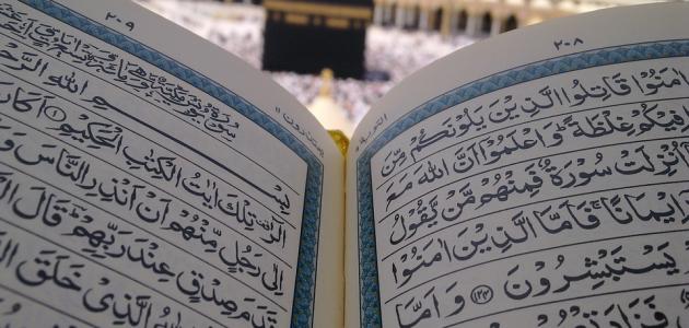 كم عدد السور التي نزلت على الرسول بمكة صورة مقال كم عدد السور التي نزلت على الرسول بمكة