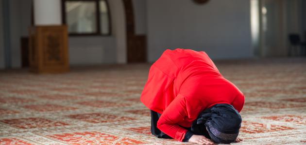 كيفية سجود الشكر للمرأة صورة مقال كيفية سجود الشكر للمرأة