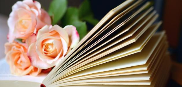 ما هي المقالة الأدبية صورة مقال ما هي المقالة الأدبية