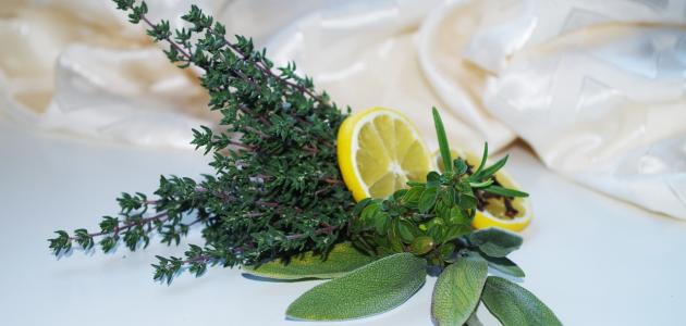 ما هي فوائد الزعتر والليمون صورة مقال ما هي فوائد الزعتر والليمون