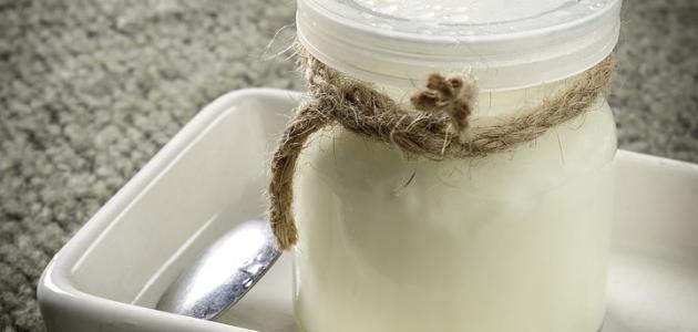 كيفية صنع الرائب البلدي صورة مقال كيفية صنع الرائب البلدي