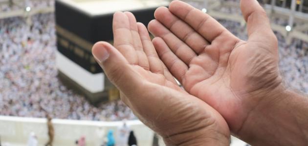 ما هو فضل الدعاء بظهر الغيب صورة مقال ما هو فضل الدعاء بظهر الغيب