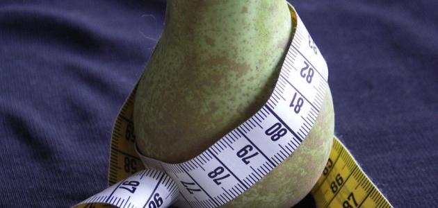 ما هي أسباب سمنة الأرداف صورة مقال ما هي أسباب سمنة الأرداف