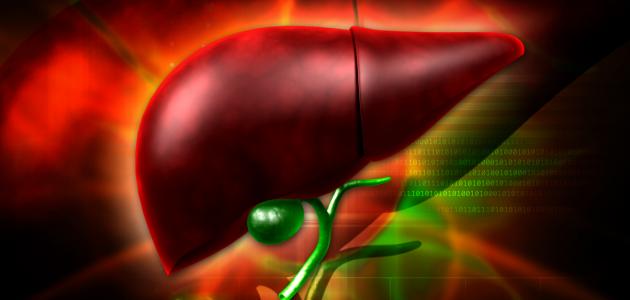 كيفية تنشيط وظائف الكبد صورة مقال كيفية تنشيط وظائف الكبد
