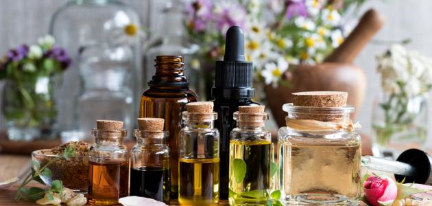 فوائد زيت اللوز وزيت جنين القمح للبشرة صورة مقال فوائد زيت اللوز وزيت جنين القمح للبشرة