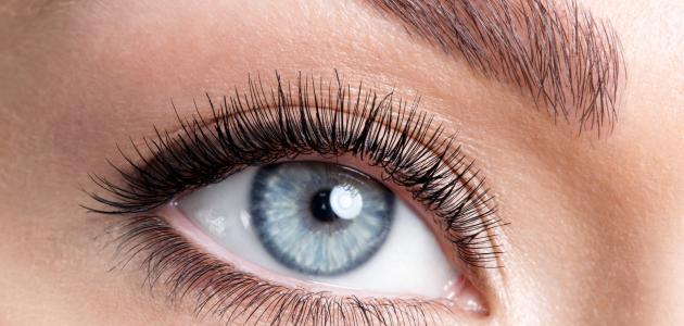 كيفية تصفية بياض العين صورة مقال كيفية تصفية بياض العين