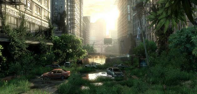 كيفية تنفس النبات ليلاً صورة مقال كيفية تنفس النبات ليلاً