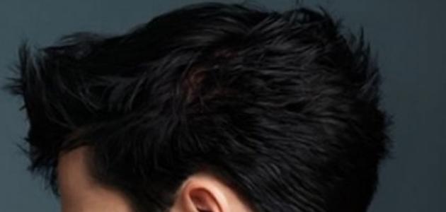 كيفية جعل الشعر كثيف للرجال صورة مقال كيفية جعل الشعر كثيف للرجال