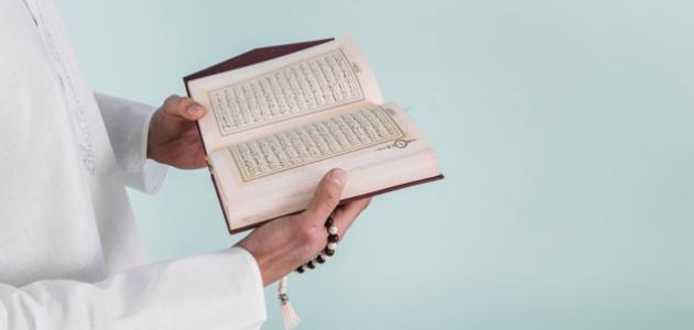 حديث على فضل قراءة القرآن صورة مقال حديث على فضل قراءة القرآن