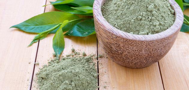 ما هي فوائد الحناء للشعر المتقصف صورة مقال ما هي فوائد الحناء للشعر المتقصف