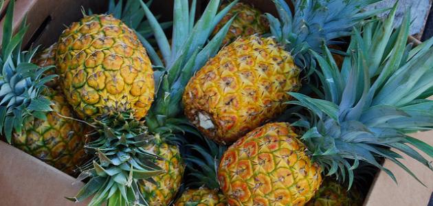 فوائد الأناناس الصحية صورة مقال فوائد الأناناس الصحية