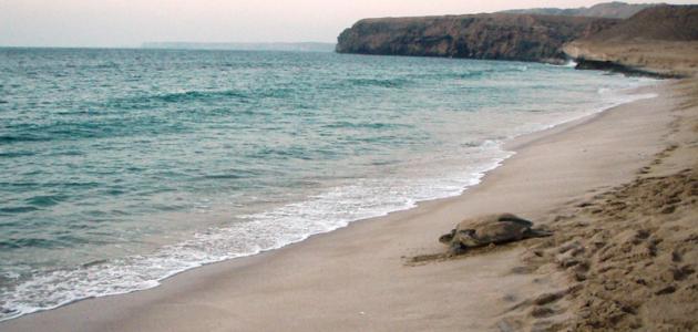 محافظة جنوب الشرقية صورة مقال محافظة جنوب الشرقية