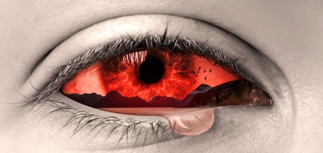 رسائل عن موت الأم صورة مقال رسائل عن موت الأم