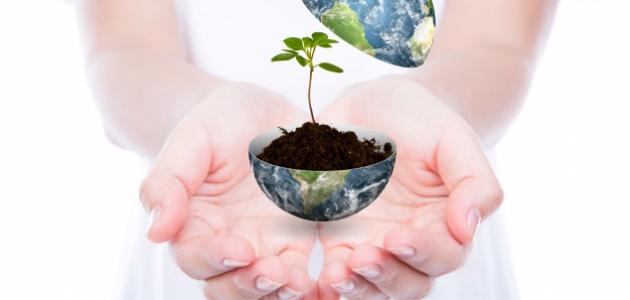 بحث حول حماية البيئة والمحيط صورة مقال بحث حول حماية البيئة والمحيط
