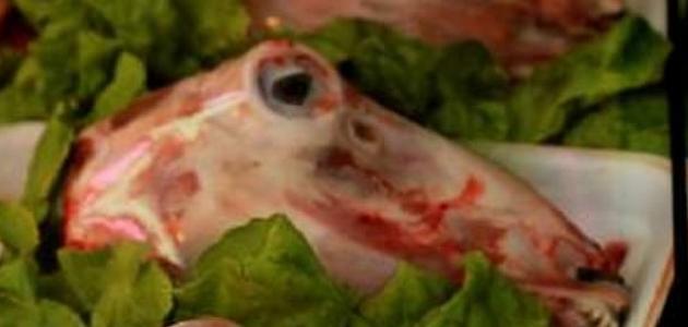 كيف يمكن طبخ رأس الخروف صورة مقال كيف يمكن طبخ رأس الخروف